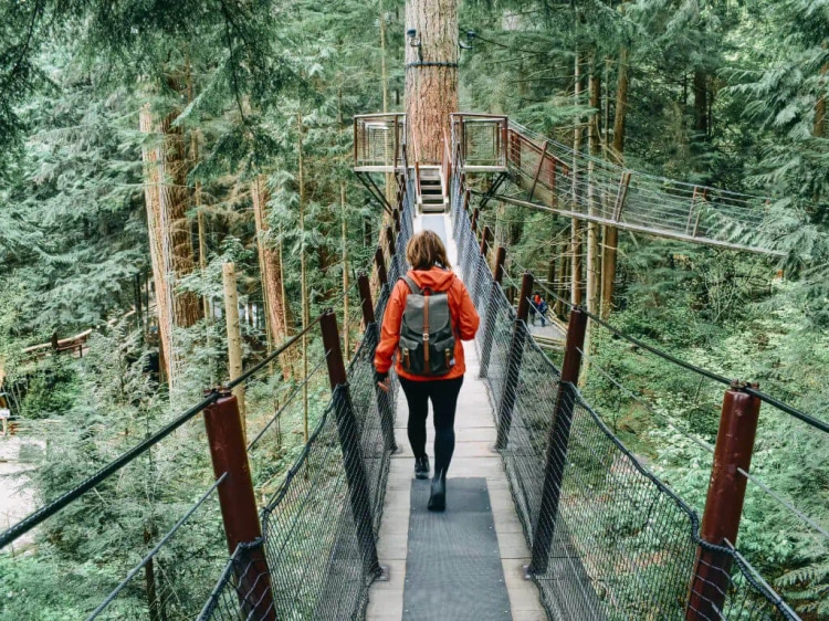 Vancouver: The Canadian City That's Home to a Massive Urban Rainforest
