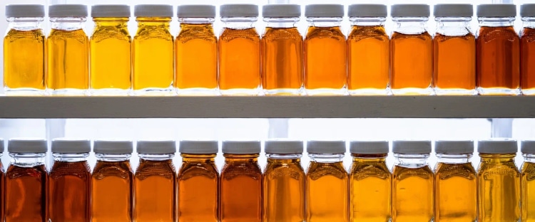 Making Maple Syrup in the Vermont Woods