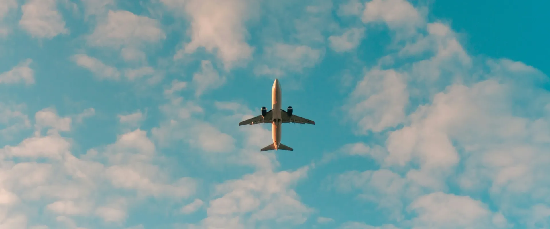 Plane flies overhead