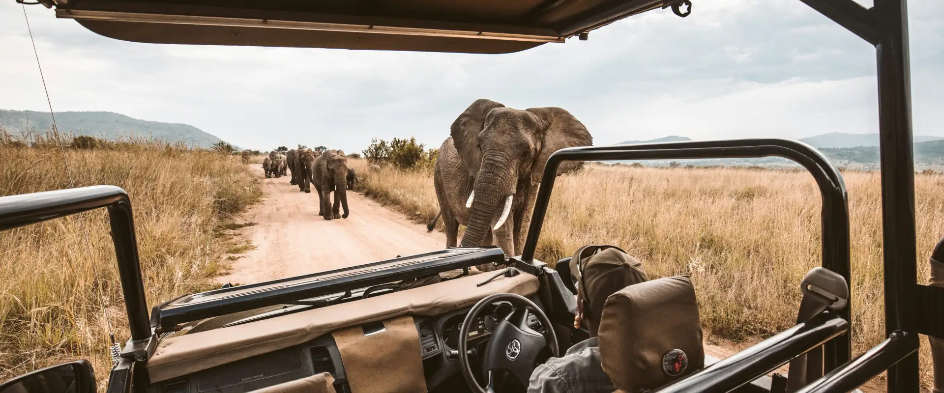 Safest Countries in Africa: Your Guide for Safe Travel in 2026